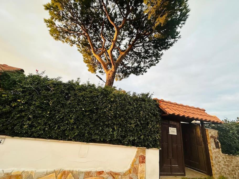 Fontana House Villa Marina di Cerveteri Екстериор снимка